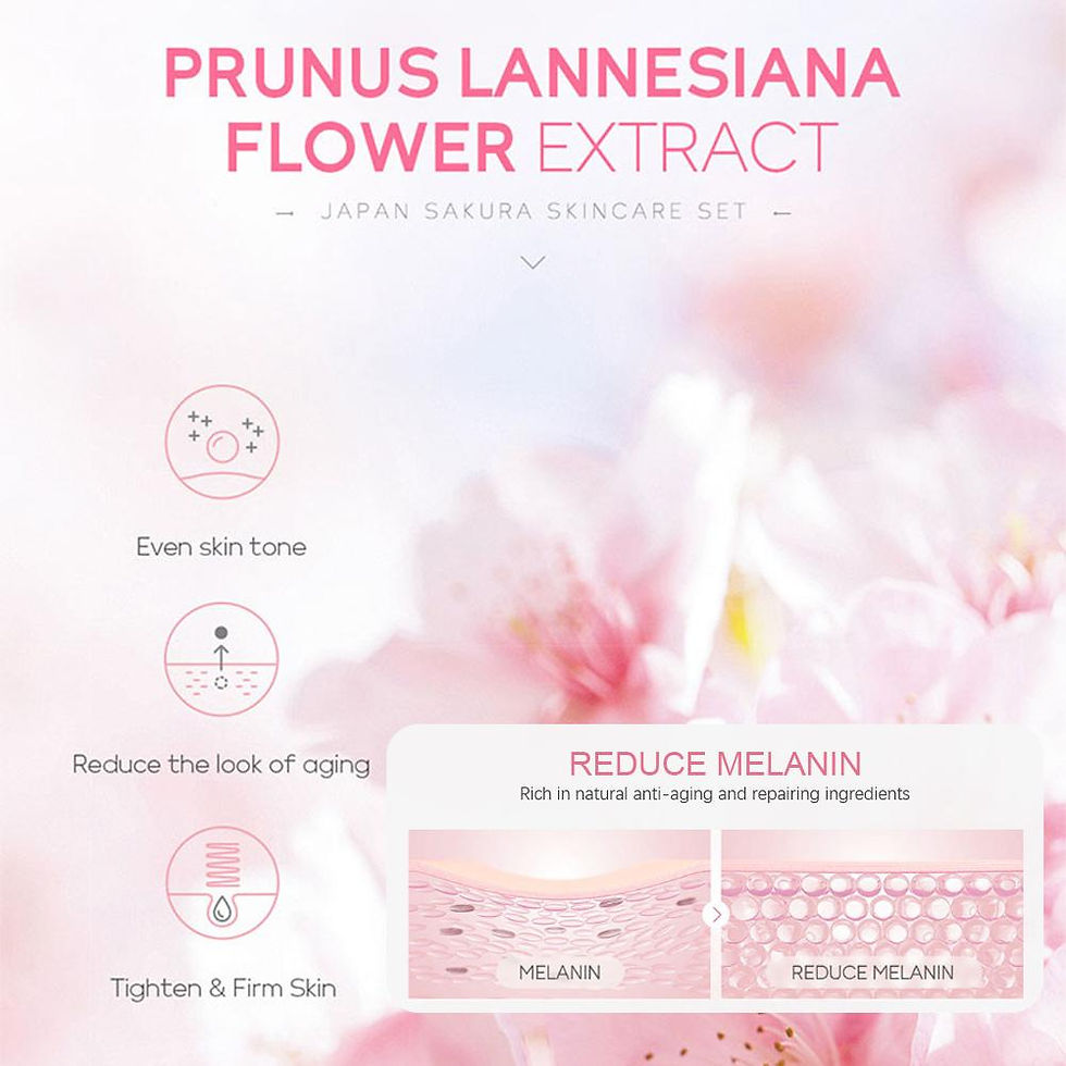 Thumbnail: 5/3pcs/Set Sakura Skin Care Sets Face Cream Serum Toner Facial Cleanser Sunscree