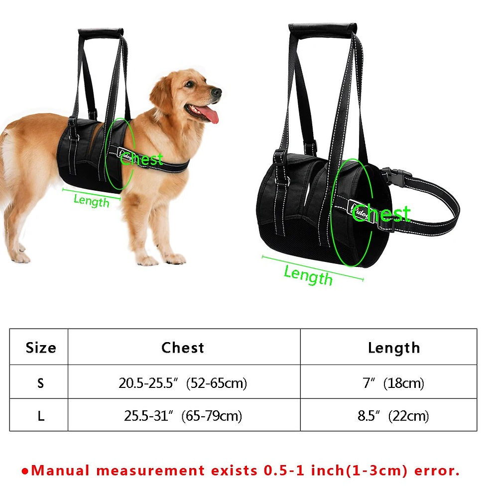 Thumbnail:  Reflective Pet Dog Lift Harness Adjustable Mesh Nylon Pets Lifting Support 