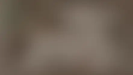قضايا النصب والاحتيال في السعودية