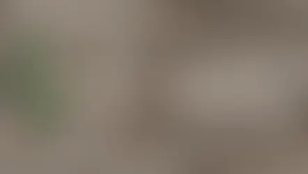 الدليل القانوني لتأسيس شركة أجنبية في السعودية