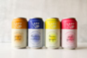 24 Pack  of Kombucha Variety Flavors