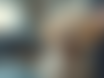 Ensuring Your Puppy Looks Great with Professional Grooming