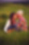 Kissing in the Meadow