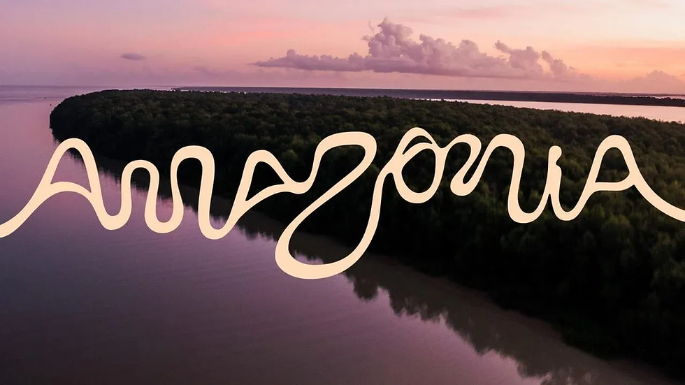 O case Amazônia e a pergunta: o que é branding afinal?