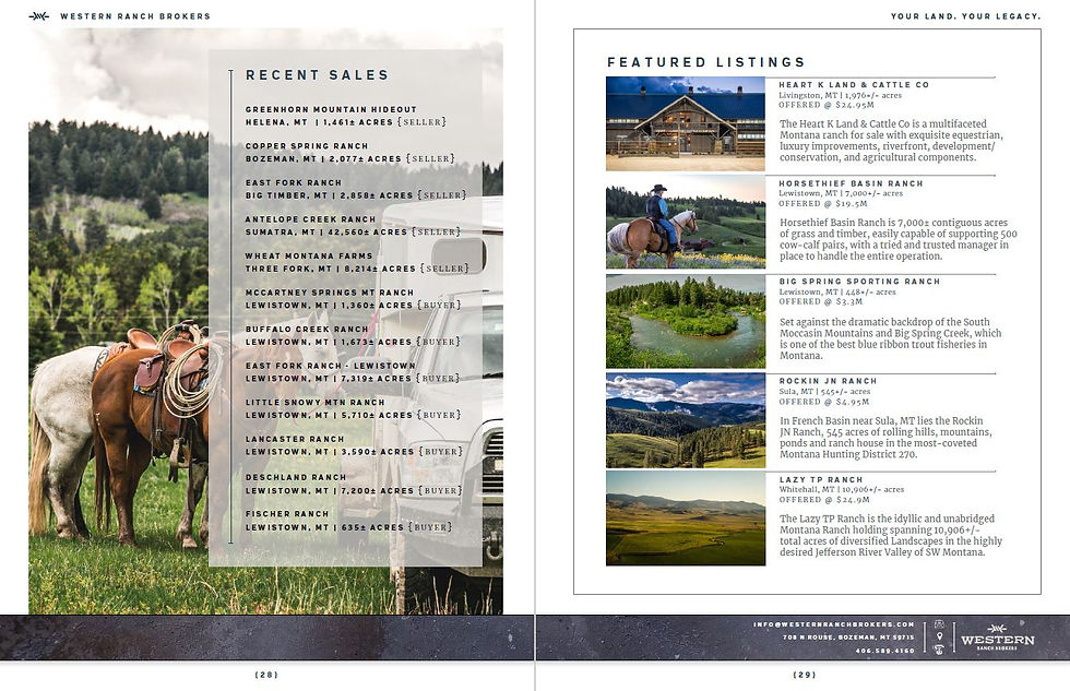 Marketing Collateral