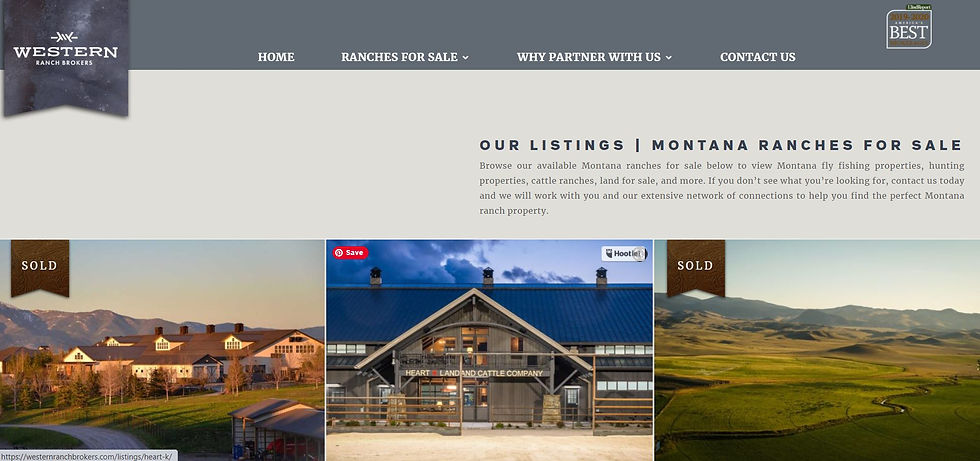 Website