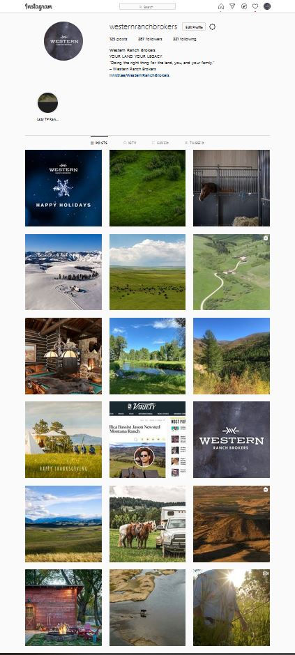 Instagram Feed