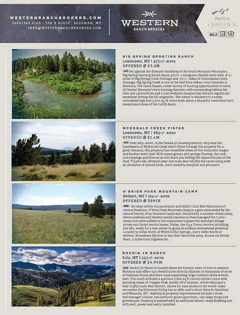 1 pg ad screen shot.JPG