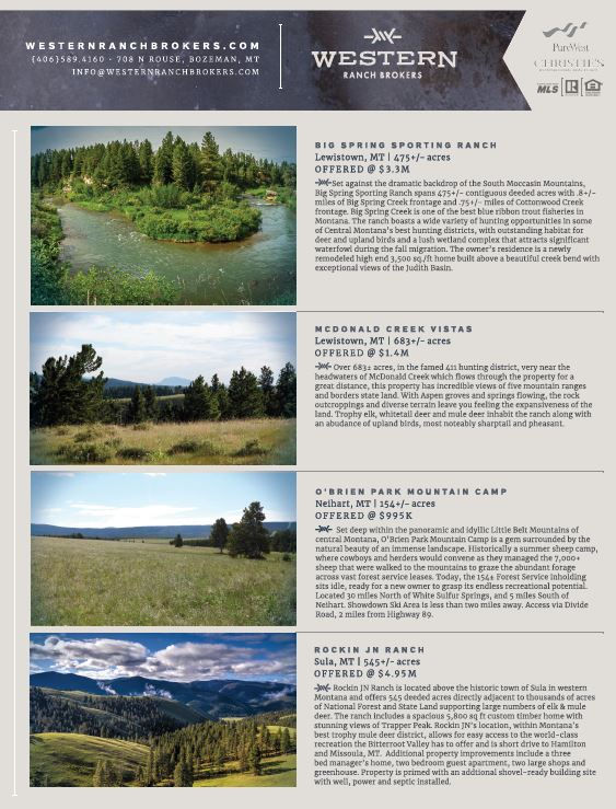 Print Advertising