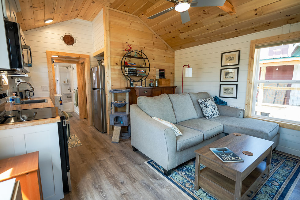 No-loft tiny home interior with an open main-floor living room, kitchen and bathroom
