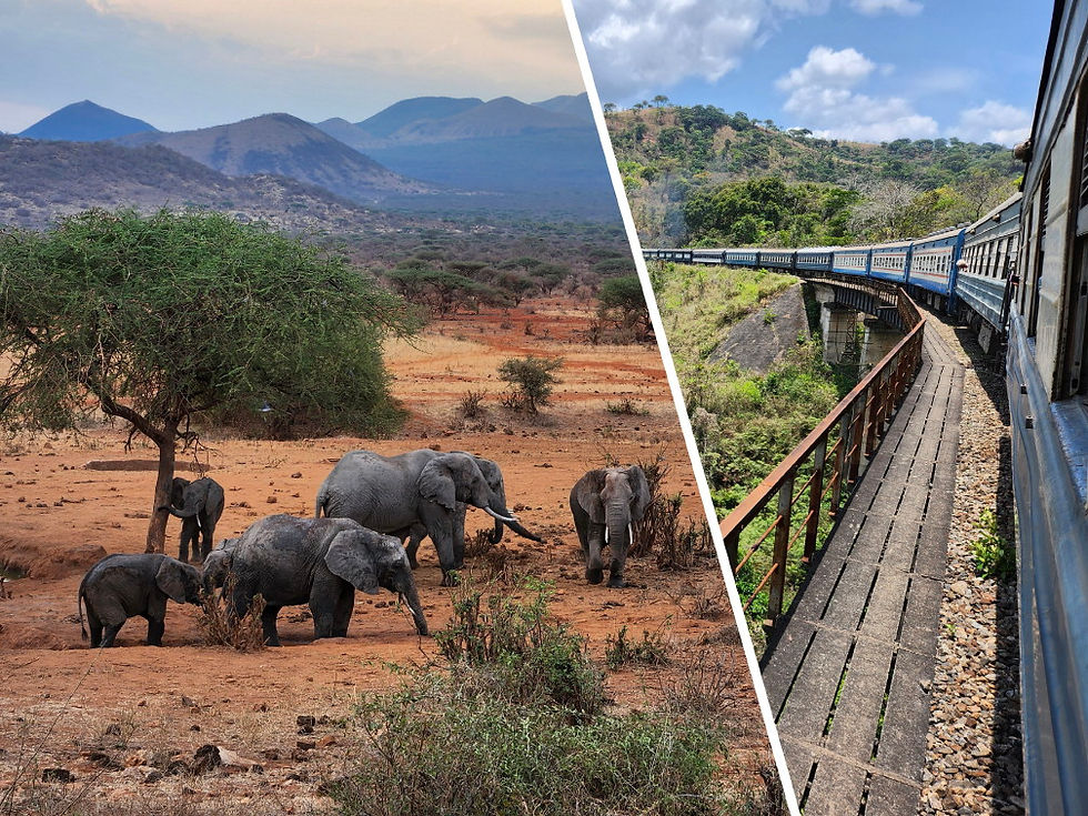 Zweigeteiltes Bild, links Afrikanische Elefanten in der Savanne im Tsavo West Nationalpark, Kenia. Rechts Blick auf die TAZARA Eisenbahn wie sie durch die tansanische Natur- und Kulturlandschaft fährt. Beides erlebt man bei dieser nachhaltigen Safari durch Kenia, Tansania, Sansibar und Sambia.