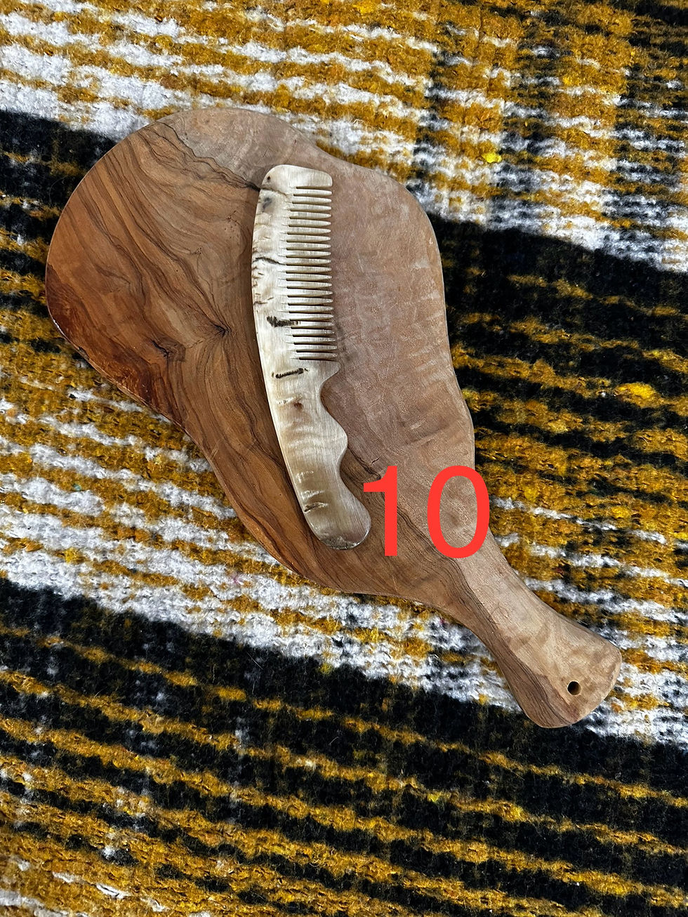 Thumbnail: Sheep Horn Combs