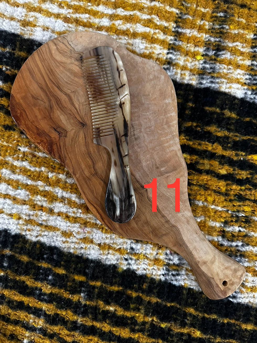 Thumbnail: Sheep Horn Combs
