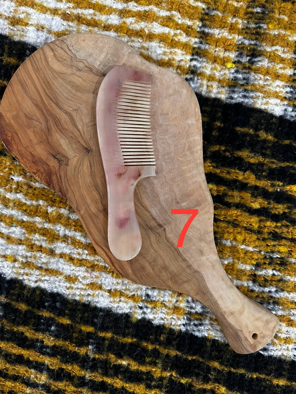 Thumbnail: Sheep Horn Combs
