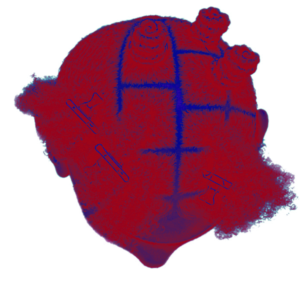 Red and cobalt risograph diagram of Afro hair viewed from behind, divided into a mapped grid with coiled knots at the crown, loose textured edges and hair clips marking sections of the terrain.
