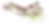 Bespokecurry-Six-Water-Cannabis-Field-Notes-Terpene-Index-Ocimene-transparent.PNG