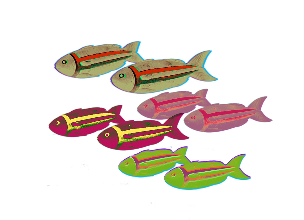 Small multicolored fish moving together in layered schools across open space. This symbol represents The Tings as interconnected categories, moving parts, collective knowledge systems, and many small ideas traveling together through the Bespokecurry waters.