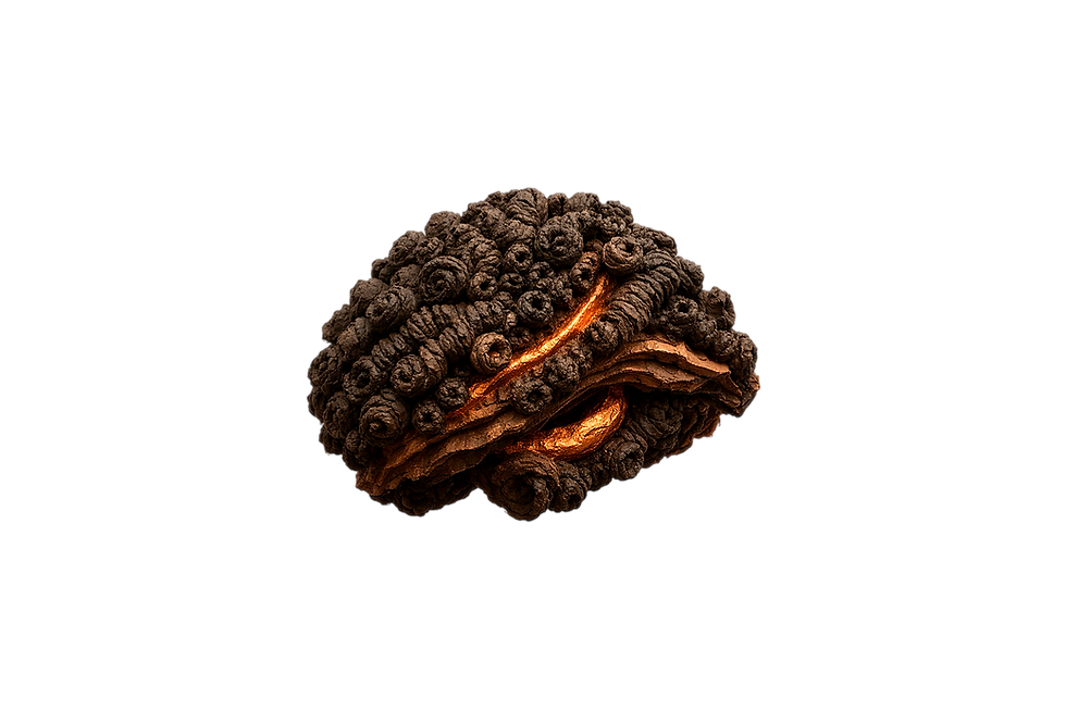 Claymation afro scalp with coils and glowing internal flow representing afro hair as a signaling system