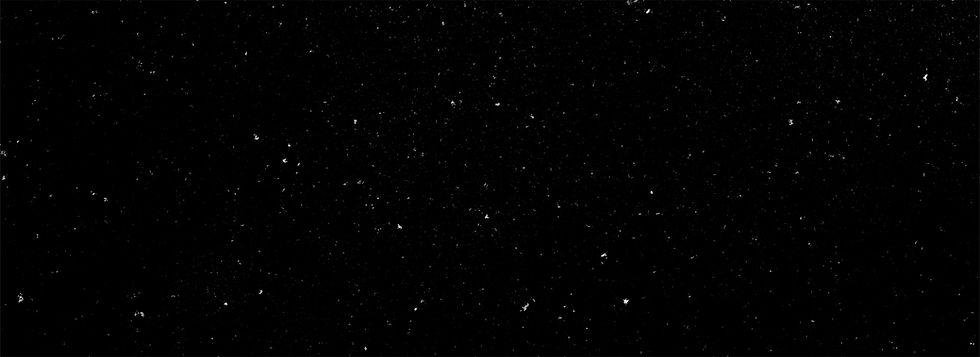bespokecurry-afroscape-book-field-guide-riso-starry-sky-background-graphic-700.JPEG