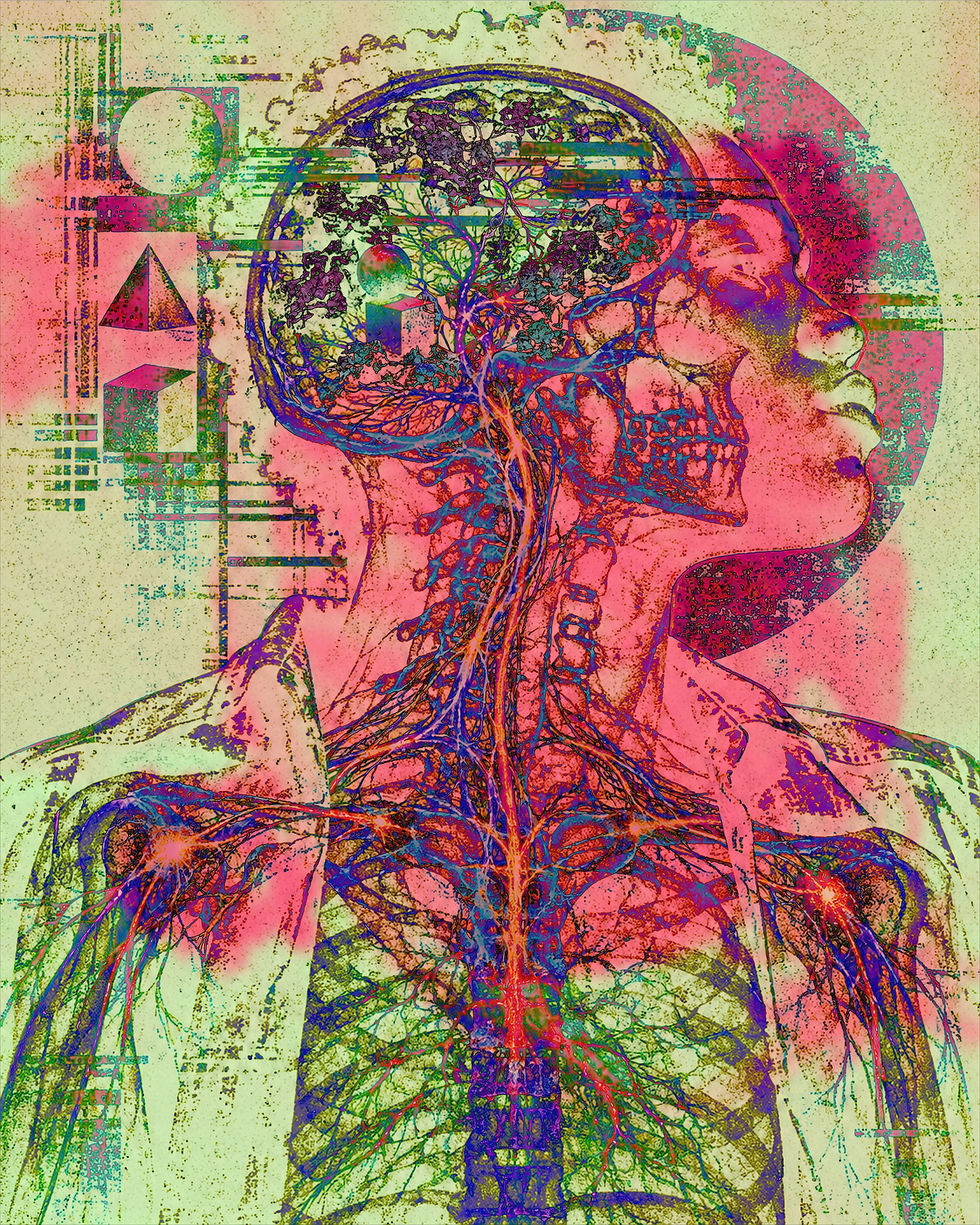 A layered anatomical image shows the right-facing head and upper torso of a Black person in pink, blue, violet and green. The skull, spine, nerves, blood vessels and upper chest remain visible beneath the figure. Branching botanical growth fills the brain cavity alongside a sphere, cube and other geometric forms. Additional grids and geometric shapes extend into the pale green background, while a large red circle frames the head.