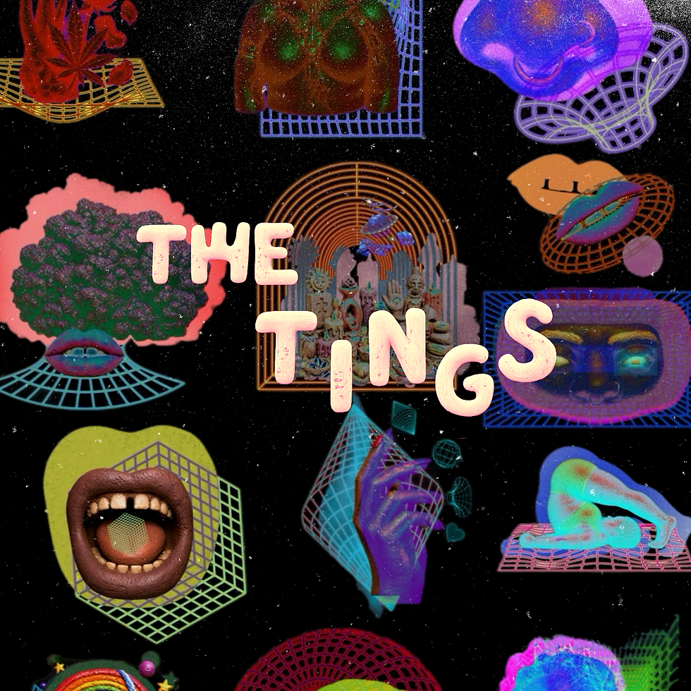 “The Tings” collage surrounded by colorful portal-like images of an Afro, mouth, hand, body, plants, water, food and sensory forms arranged across a black field.
