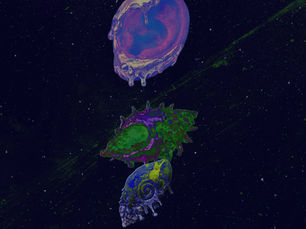 Three vividly altered shell-like forms float vertically against a dark, star-speckled field crossed by green currents. At the top is a rounded pink, purple and blue form resembling an ear; beneath it are a spiked green-and-purple shell and a blue, yellow and purple spiral shell, all appearing to drip at their lower edges. Caption: The ear becomes shell, vessel and portal. Sound moves through each chamber by reverse osmosis—entering as rhythm, passing through the body and returning as another way of knowing.