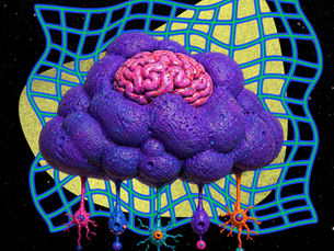 ◉≋ OCD, Apologies, and the Body’s Unresolved Signal