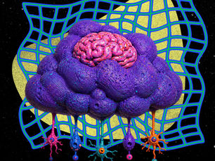 ◉≋ OCD, Apologies, and the Body’s Unresolved Signal