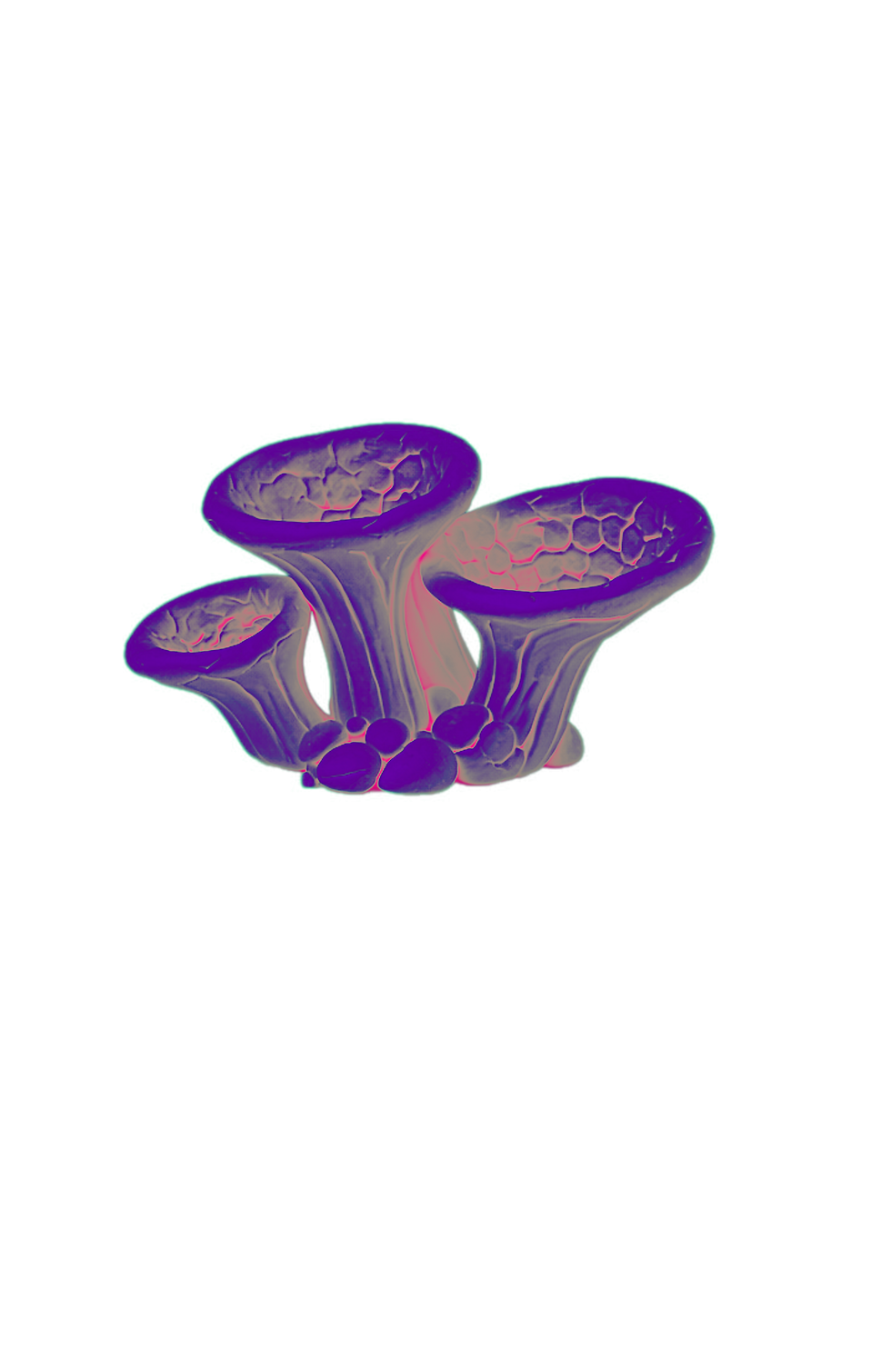 Bespokecurry-Fungi-Tings-Black-Body-Gut-Consciousness-Xray-Mushroom-Graphic-9.PNG