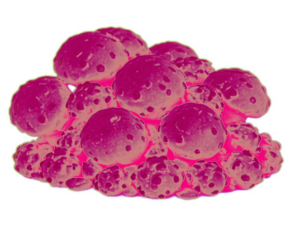 glowing pink mushroom cluster with rounded caps and soft translucent texture