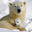Writer: Mama Bear