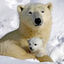 Writer: Mama Bear