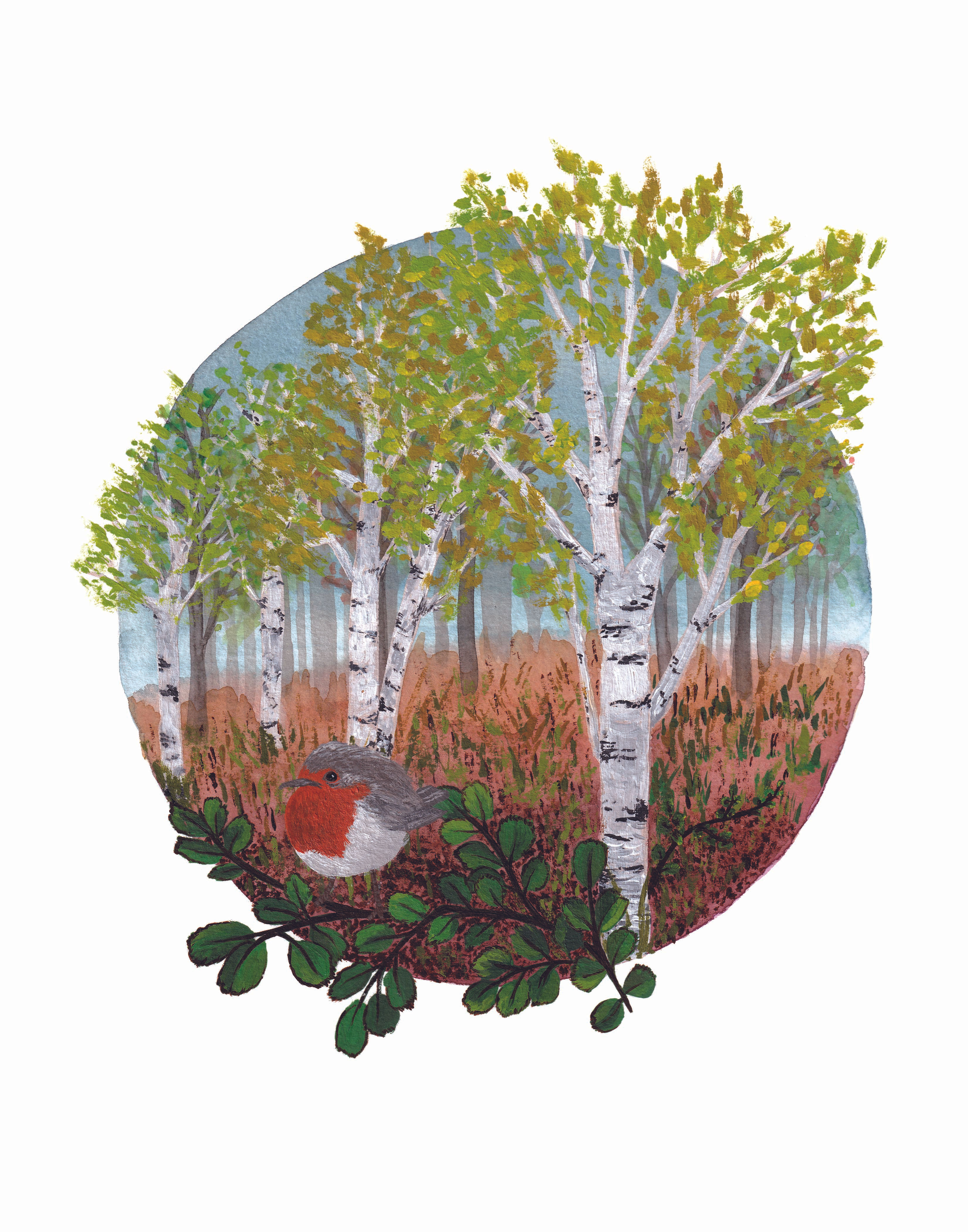 Affiche - Rouge-gorge