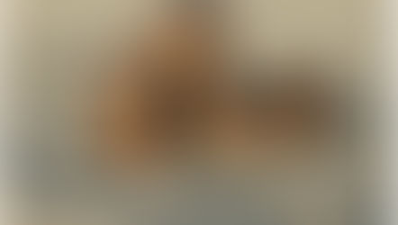 Mature Customer Lifetime Loyalty