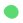 light green dot.png