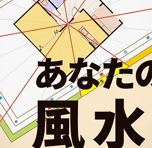 detail1_d3840b3b-4ac9-44ff-a803-13777db2