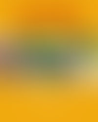 The Rock MFC — 決して諦めない拳、そして闘い続ける心