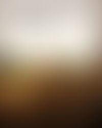 Don't let your dreams be dreams