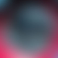 Pigeon Spins Featuring an Interview with Pascal Boyer 