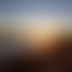 Pigeon Spins Hip Hop: MR SUNSHINE