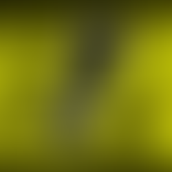 Pigeon Opinion Featuring a Review “ALERTA” EP by SIVA  