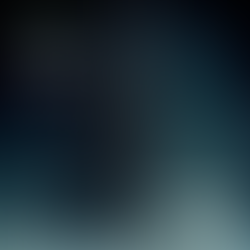 Pigeon Spins Folk: FRANK JOSHUA