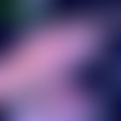 Pigeon Spins Electro: HANGTIME