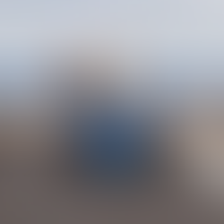 Pigeon Opinion Featuring a Review of Coquette by Yoskos in the Cosmos