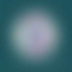 Pigeon Spins Featuring an Interview with Carlton Rara