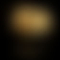 Pigeon Opinion Featuring an Interview with 2002