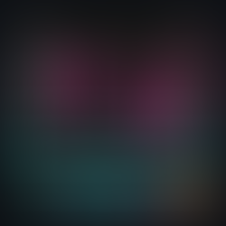 Pigeon Opinion Featuring a Review of Every Drunk's Gotta Story by Eoin Shannon