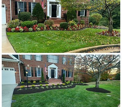 Landscape Transformation