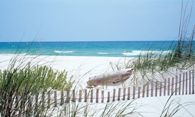 beach banner.webp