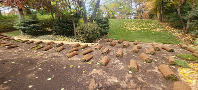 Sod Installation